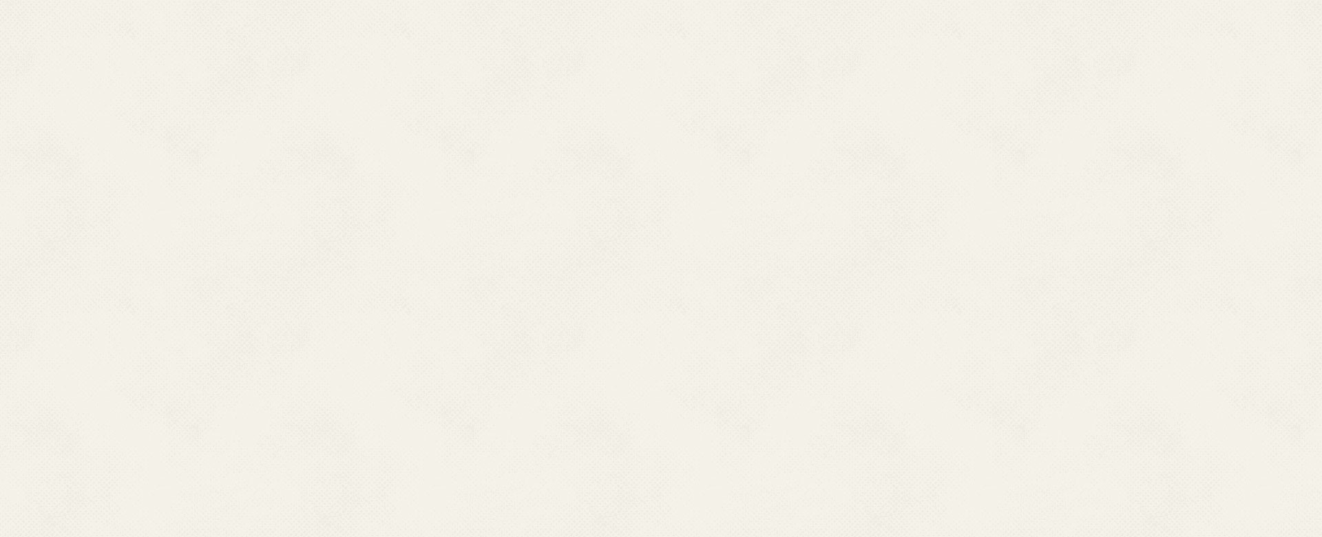 homepage2 slider bg